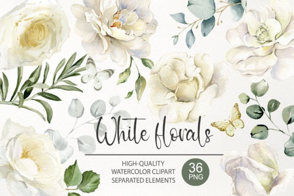 Elevate Your Designs with Watercolor White Rose Clipart